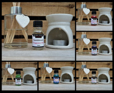 ACEITES DE FRAGANCIA AROMATERAPIA DIFUSORES QUEMADORES ACEITE 10 ML SABIDURÍA ANTIGUA Habitación Fragrance price