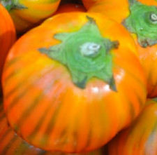 Berenjena tigre de turquia  - turca   color naranja 25 semillas seeds Turca price