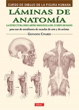 Láminas de anatomía. NUEVO. Envío URGENTE. ARTE, ARQUITECTURA, CINE Y FOTOGRAFIA Libros de arte y arquitectura price