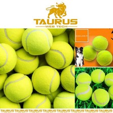 24X PELOTAS DE TENIS DEPORTES al aire libre diversión perro buscar juguete jugar cricket entrenamiento playa Reino Unido De Exterior, Sea y Sports Juguetes price