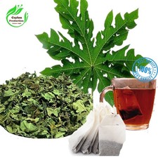 Bolsas de té de hojas de papaya orgánicas infusión de hierbas de papaya carica natural Organic Productos price