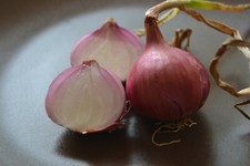 200 Semillas de Cebolla Roja de Zalla (Allium cepa) seeds Seeds price