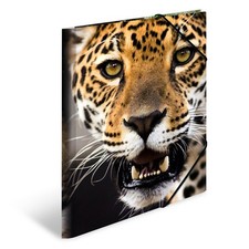 HERMA 7137 Carpeta de dibujo Animales con motivo Leopardo, A4, plástico resisten Carpeta de dibujo price