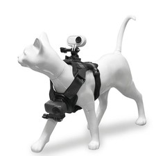 Gilet Chat Respirant Support Photo pour Action pour Appareils Photo avec Rallong Action appareils photo price