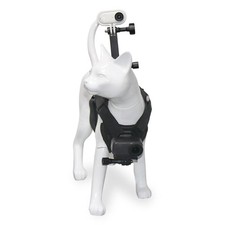 Gilet Chat Respirant Support Photo pour Action pour Appareils Photo avec Rallong Action appareils photo price