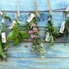 SERVIETTES EN PAPIER HERBES AROMATIQUES. PAPER NAPKINS HERBS AND SPICES AROMATIC Spices price