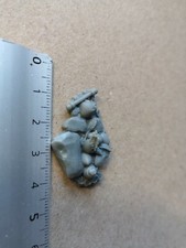 COCKATRICE EGGS   MINIATURE REAPER BONES V FAN FAV. M140 Eggs price