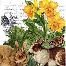 Serviettes en papier lapins fleurs légumes.Napkins rabbits flowers vegetables Vegetables price