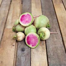 50 Graines RADIS RED MEAT Pastèque Racine Chair Rouge Vif Hiver Saveur Douce Red Meat price