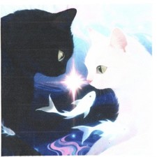 Serviettes en papier chat chats et poissons. Paper napkin cat cats and fish Napkin price