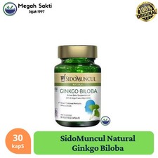 Ginkgo Biloba Herbal Capsules 30 pcs supplément botanique naturel Herbal Supplements price