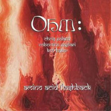 Ohm Amino Acid Flashback (CD) Album Amino Acid price