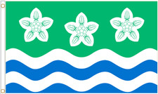 Drapeau en polyester Cumberland - tailles au choix Mug price