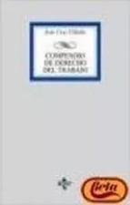 Compendio de Derecho del Trabajo/ Compendium on Labor Law, Jesus Cruz Villalon Labor Law price