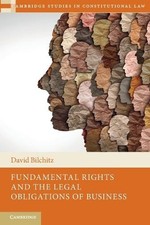 David Bilchitz Fundamental Rights and the Legal Obligations of Business (Poche) Law of Obligations price