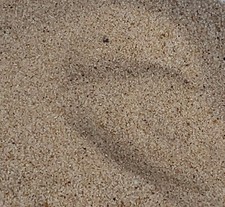 Accessoire De Jardin Miniature Plage Tumdee Sachet De Sable 100G Jardin accessoire price