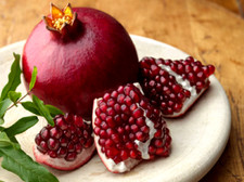 15 graines de GRENADIER (Punica Granatum PROVENCE )H413 POMEGRANATE SEEDS SAMEN Seeds price