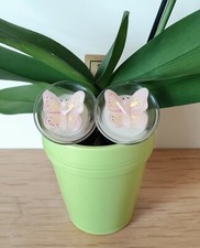 🌿 Bougie décorative "Papillon" 🌿 Decorative bougie price
