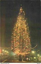 Carte Postale - Etats-Unis - Tacoma - Champion christmas tree - a towering chris Christmas Tree price