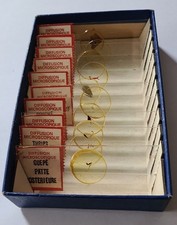 Coffret de lames préparées pour microscope, Insectes n° 1 Microscope price