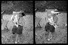 Femme & bébé chaise longue transat - Ancien négatif photo an 1930 Transat bébé price