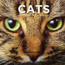 Cat Coffee Table Book: This Book Celebrates the Beauty and Diversity of These Wo Orta Sehpa price