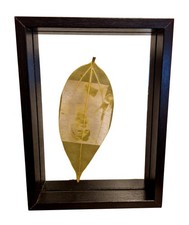 Cadre Photo 13x18 Cadre D'Image MDF Bois Avec Vitres Élément de Déco Caddy Cadre photo & image price