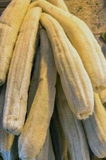 Gourde Luffa - Loofah - Éponge - 5+ graines - ÉPONGE NATURELLE ! C 068 Suluk price