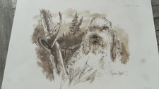 Chien chasse griffon Dessin papier d'arches Maurice Parent signé numéroté 1975. Dessin papier price