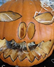 ♫ COURGE POTIRON 'Jack O'Lantern' ♫ Graines ♫ Pl Décorative Potagère Gustative ♫ Decorative Lantern price