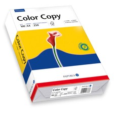 PAPYRUS Papier Pour Copie Et Impression Couleur Color Copy DIN A4 250 Feuilles Coloré copie papier price