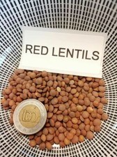 Lentilles rouges - 25+ graines - HÉRITAGE et FINE ! H 100 Lentilles price
