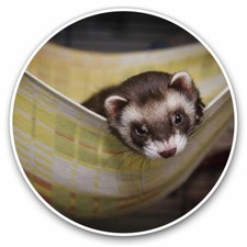 2 adesivi in vinile 20 cm - amaca donnola furetto bambino regalo fresco #16853 Hammock Bebè price