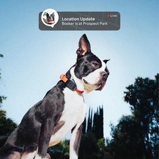 Fi Mini GPS Tracker per Cani Leggero Impermeabile Smart Pet Tracker Collana smart price