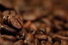 2026 America's Best Coffee 12 oz, chicchi di caffè tostato fresco, tostatura media Iced Coffees price