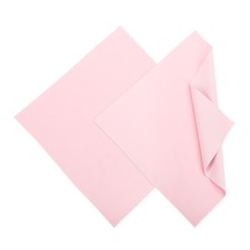 Panno Lucidante per Pulitore Gioielli in Argento, 11,8x11,8 Pollici Confezione da 2 (Rosa) Polishers e Cleaners price