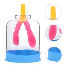 Modello Educativo di Apprendimento Organi Corpo Umano Assemblaggio Consapevolezza Organs price