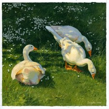 quadro artistico 24 x 24 cm 30SkS dipinti ad olio oche in un prato verde soleggiato Paints price