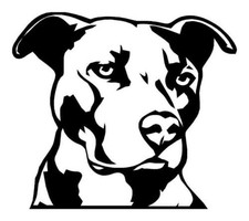 Ranger Products Pitbull Testa Vinile Decalcomania Finestra Auto Parete Portatile Nero Auto Finestrino Cura Prodotti price