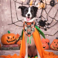 Bandana per Gatti a Tema Halloween Bandana per Cani da Esterno Portatile Sciarpa Triangolo per Cani Bandana outdoor price