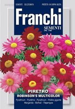 Semi / Seeds PIRETRO ROBINSON’S MULTICOLOR Seeds price