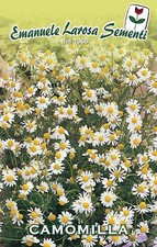 200 Semi/Seeds di CAMOMILLA Seeds price