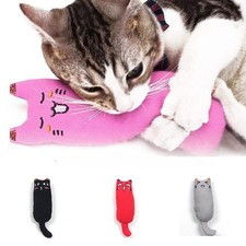 Prodotti per gatti accessori per animali domestici fruscio suono erba gatta giocattolo per animali domestici simpatici giocattoli per gatti Pet Prodotti price