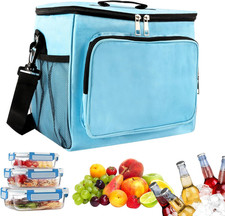 Borsa Termica Porta Pranzo, 10L Borsa Termica Frigo Riutilizzabile, Borsa Porta Borsa porta pranzo price