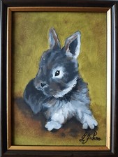 Dipinto a olio originale coniglietto Pet Art incorniciato 7 x 5 coniglietto d... Dipinto a olio price