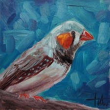 Dipinto a olio originale Zebra Finch Bird 6 x 6 pollici Birds Painting Dipinto a olio price
