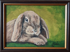 Dipinto a olio originale coniglietto Pet Art incorniciato 7 x 5 coniglietto d... Dipinto a olio price