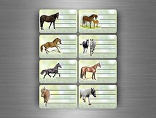 16x etichetta adesive  notebook scuola libre nome scolastica quaderni cavallo Scuola Etichetta price