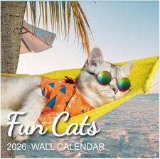 2026 Calendar - 2026 Wall Calendar, Funny Cat Calendar 2026, JAN 2026 - DEC 2026 Calendar price