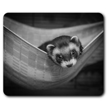 Rectangle Mouse Mat BW - Baby Ferret Weasle Hammock  #37772 Baby Hammock price